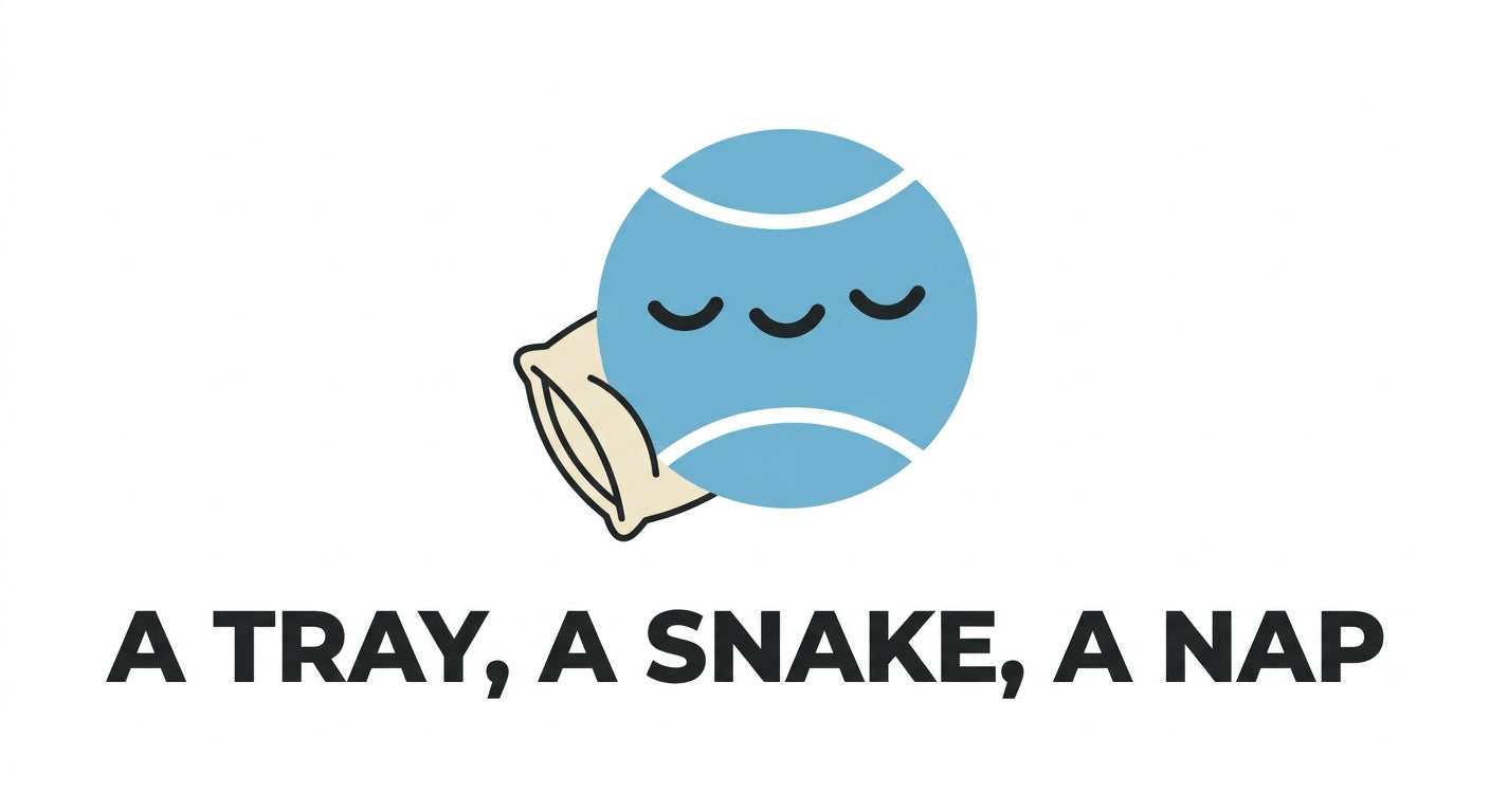 The Dormilona Tee — A Tray, A Snake, A Nap